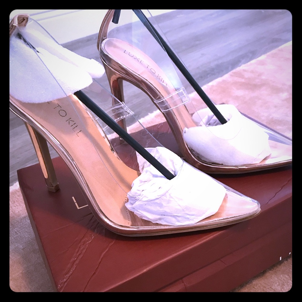Luxe to Kill clear Perspex shoes